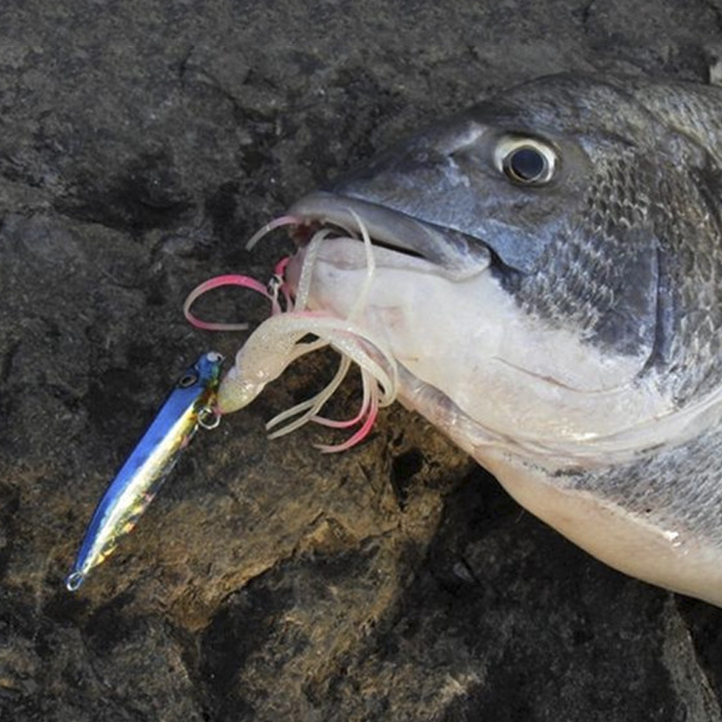 OBSESSION J25 Inchiku Squid Lu - Fishing Lure Buzzbait review and price